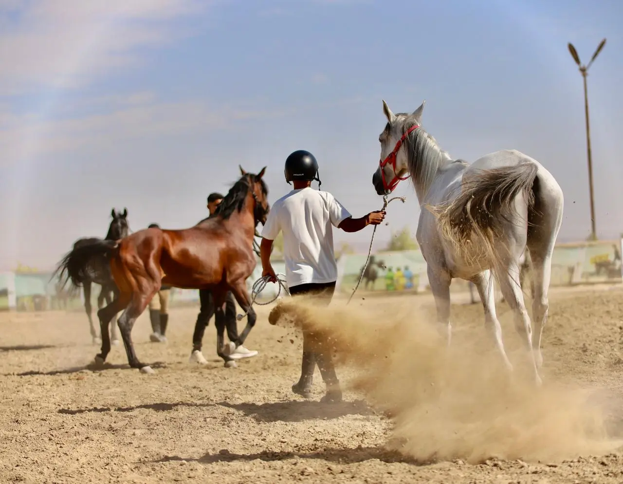 Corporate video campaign showcasing professional editing and motion graphics